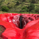 Illustration for article titled Art Installation Begs the Question Will Men Finally Be Able to Identify a Clitoris on This Gigantic Vagina